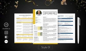 I will design a professional resume and cv template